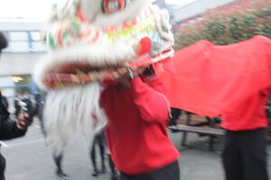 Img 6329