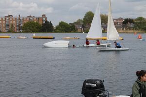 Img 7564