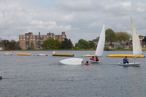 Img 7561